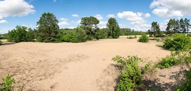 Sand dunes u Vlkova