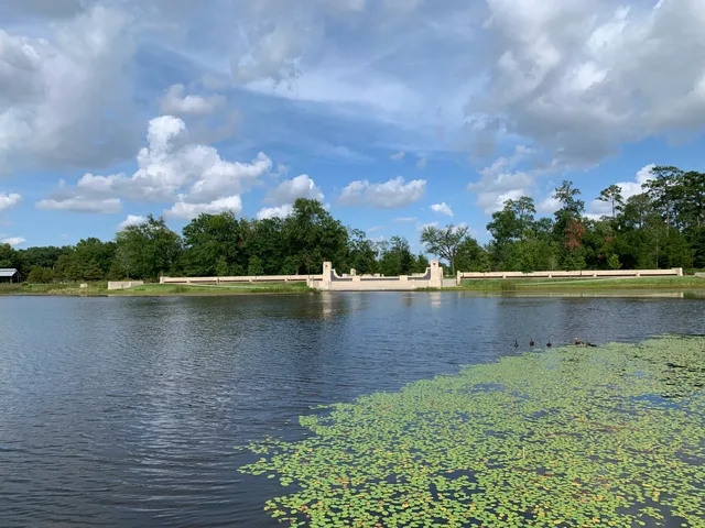 Clay Family Eastern Glades