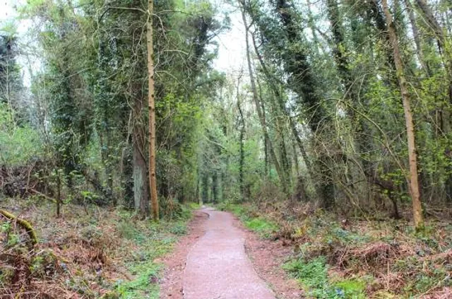 Oak Park Forest Park