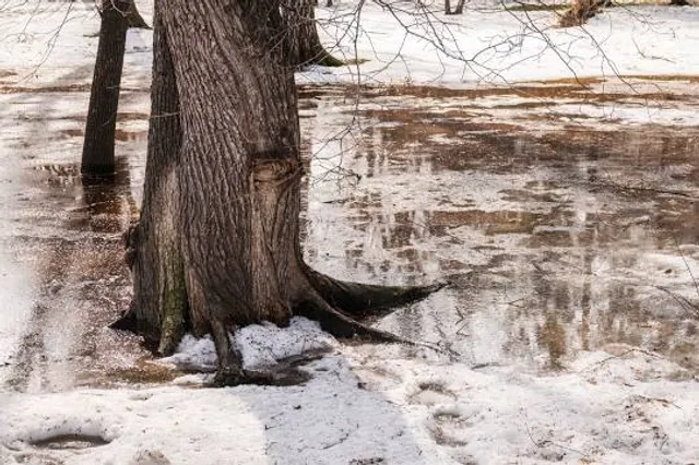 Louise Hays Park