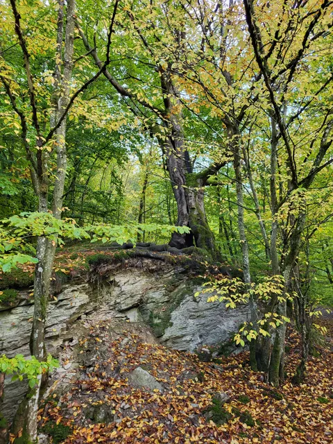 Baybachklamm Hunsrück