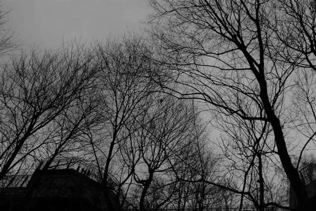 Flakturm Humboldthain