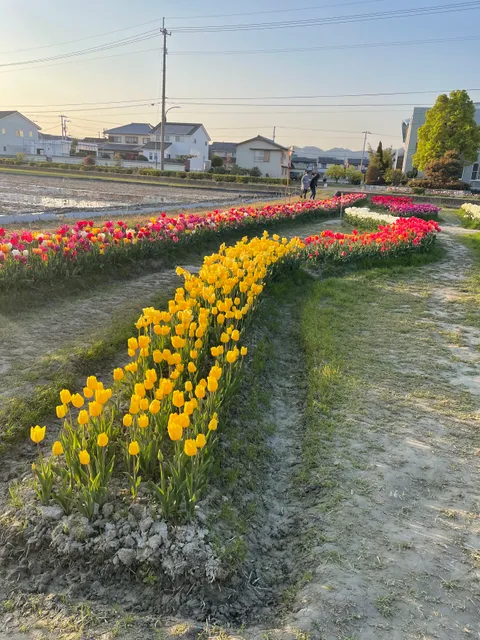 Kitajima Central Park