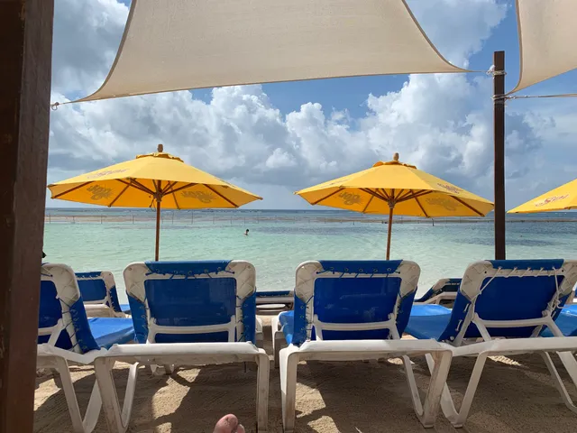 Pez Quadro Beach Break In Paradise