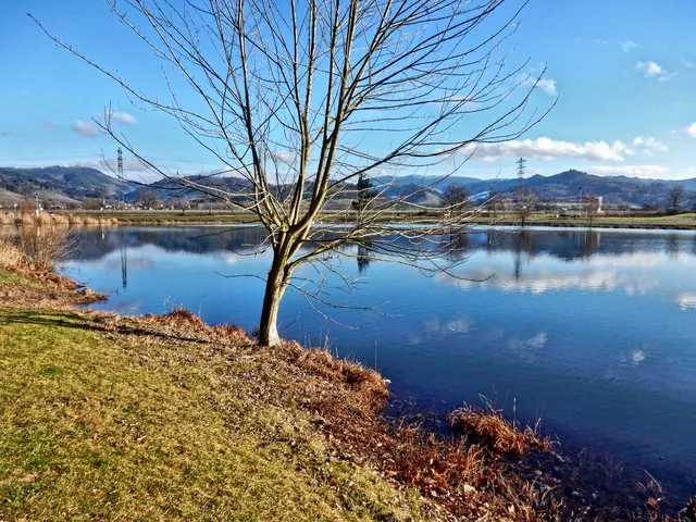 Pappelwaldsee Berghaupten