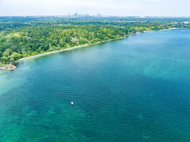 Jack Darling Splash Pad