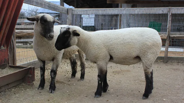 Heritage Farmstead Museum