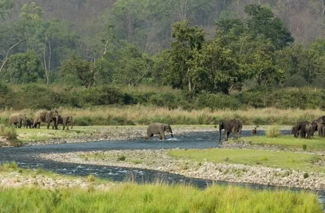 Jim Corbett National Park