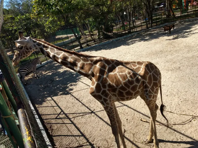 Carmen Municipal Zoo