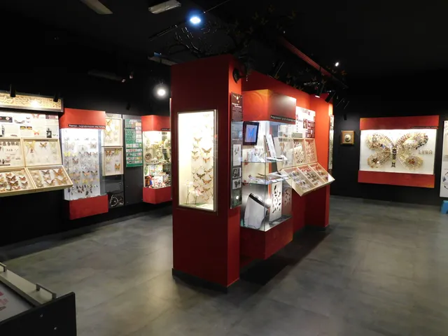 Muzeum Motyli w Łebie - czynne cały rok