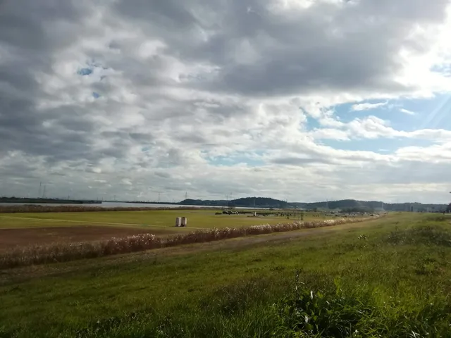 Sawara Riverbank Green Space