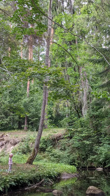 Gārsenes dabas takas