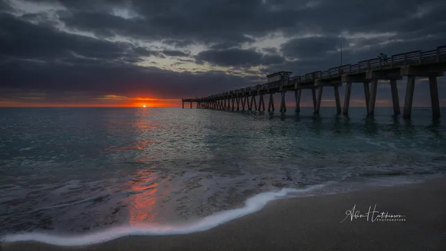 Number 33 Gallery of Arts