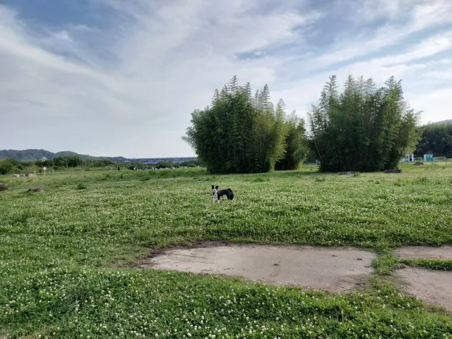 Yodogawa Kasen Park Ōyamazaki Area