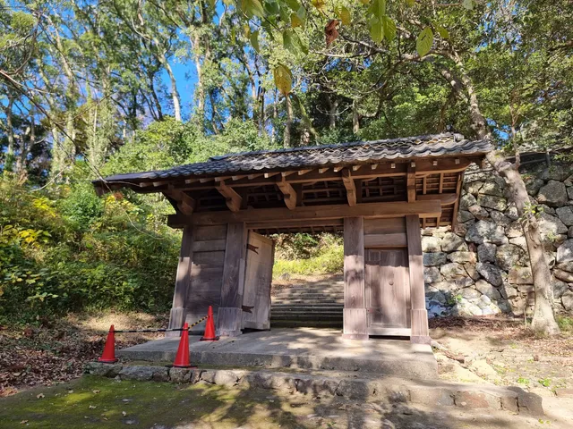 photo-1