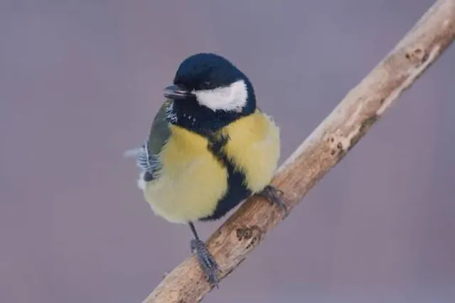 KHAOLONGRUATAMUEN พิชิตยอดเขาล่องเรือตาหมื่นบ้านมุง