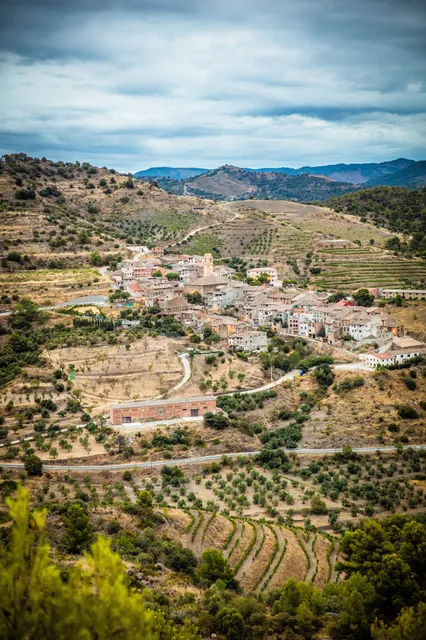 Bodegas Mas Alta S.A