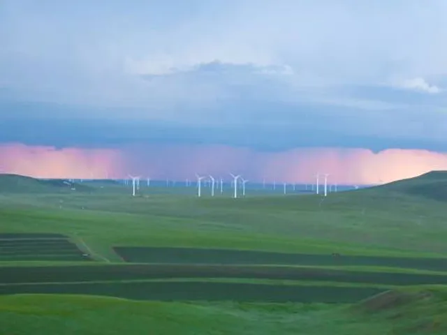 Philip Marx Central Park