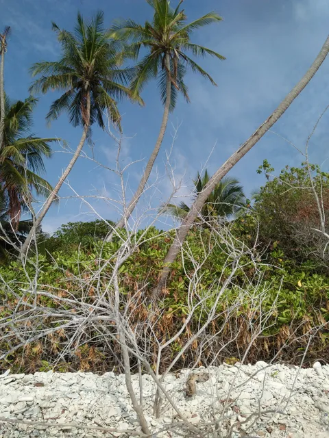 place image