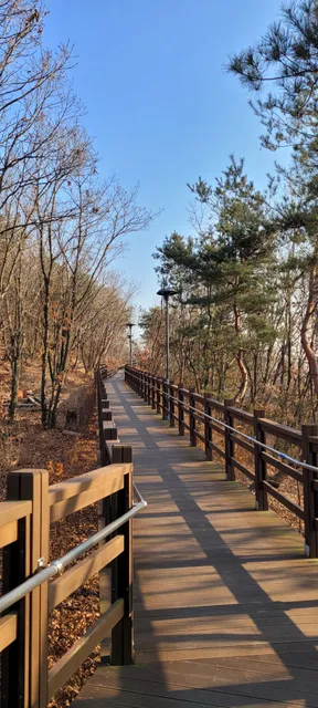 Heyri no barrier sunset forest park