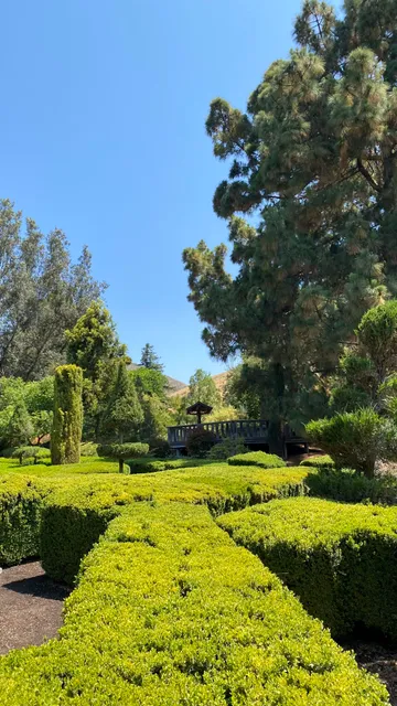 Leaning Pine Arboretum