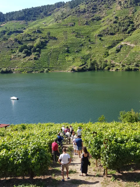 Bodega Ronsel do Sil