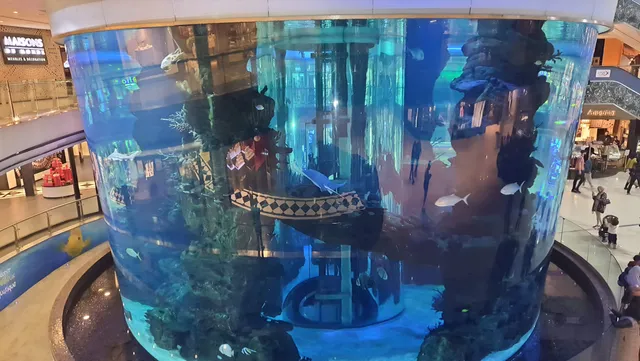 Mall Aquarium