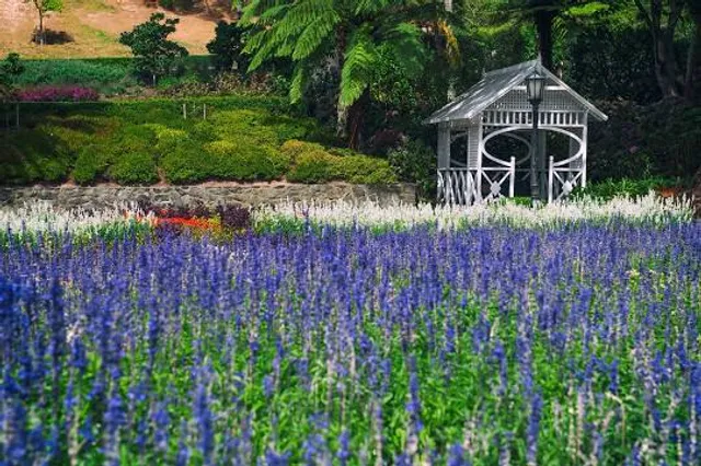 Thorndon Park Reserve