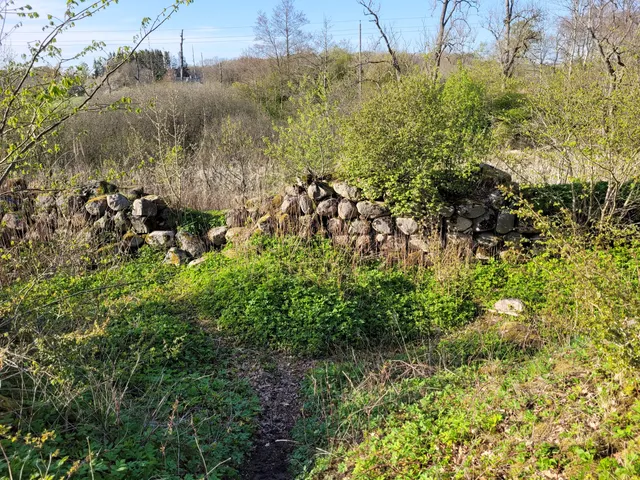 Stjerneholm borgruin