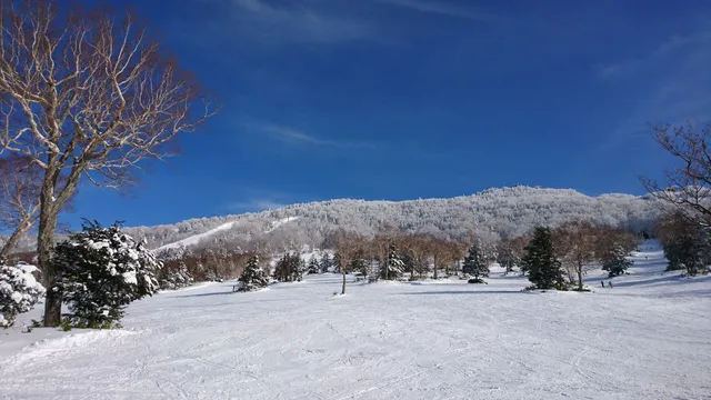 Tanne no mori Okojo Ski Area