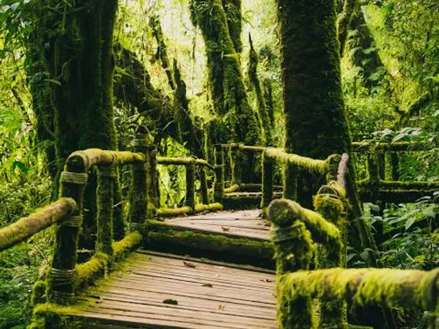 Pasig Rainforest Park