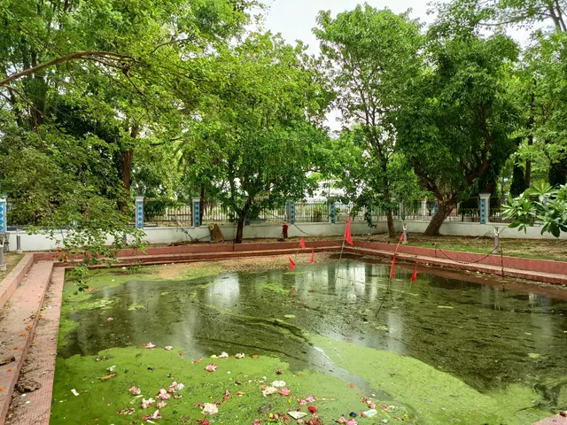 photo-1