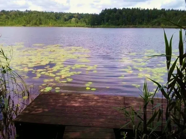 Jezioro Bolechowskie