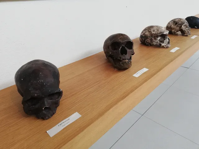 Museo della Preistoria di Nardò