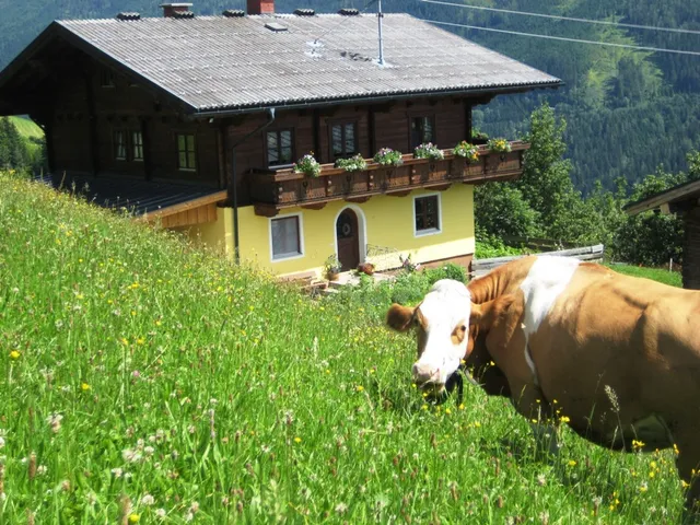 Bergbauernhof Brandgut