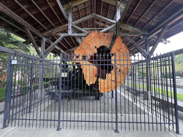 Snoqualmie Centennial Log