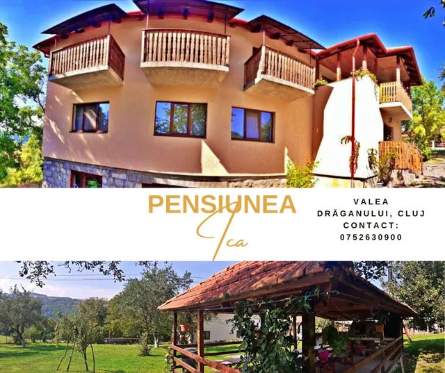 Pensiunea Ica