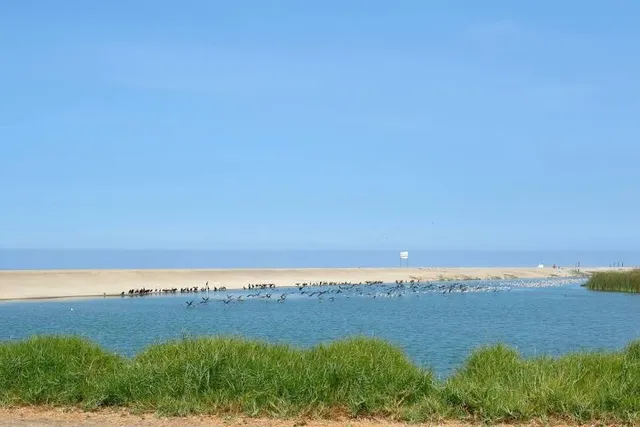 Pantanos de Villa Wildlife Refuge