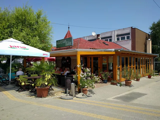 photo-1