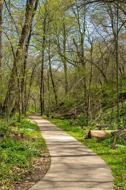 Franklin Creek State Natural Area