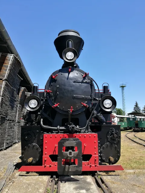 photo-1