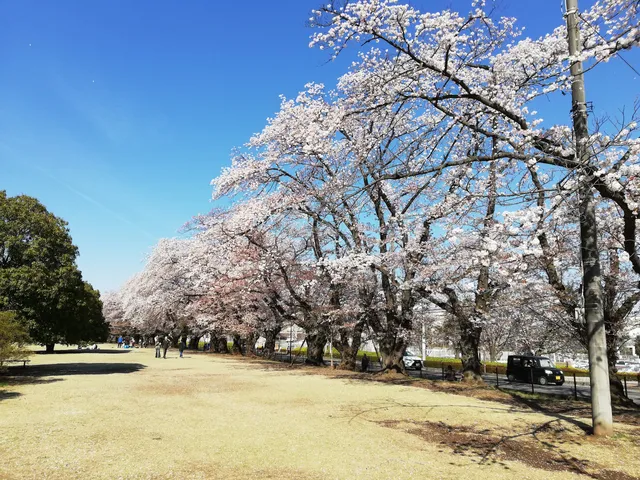 Sayama Inariyama Prefectural Park
