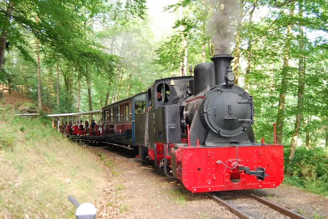Train Forestier d'Abreschviller en Moselle