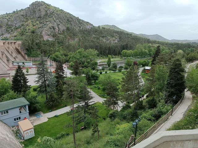 photo-3