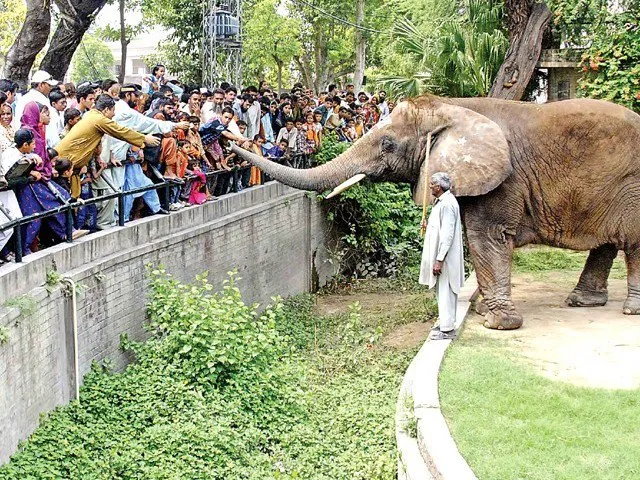 Lahore Zoo
