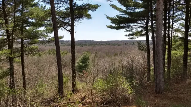 Tower Ridge Recreation Area