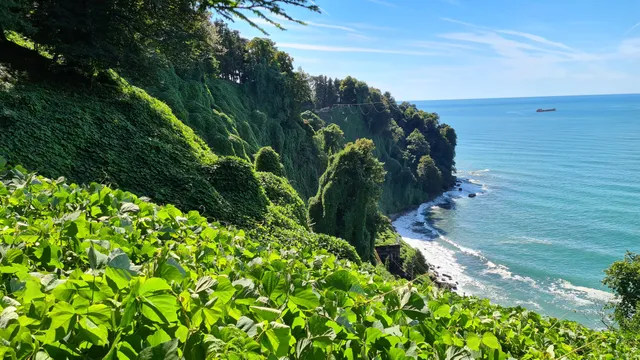 Botanical Garden (west entrance)