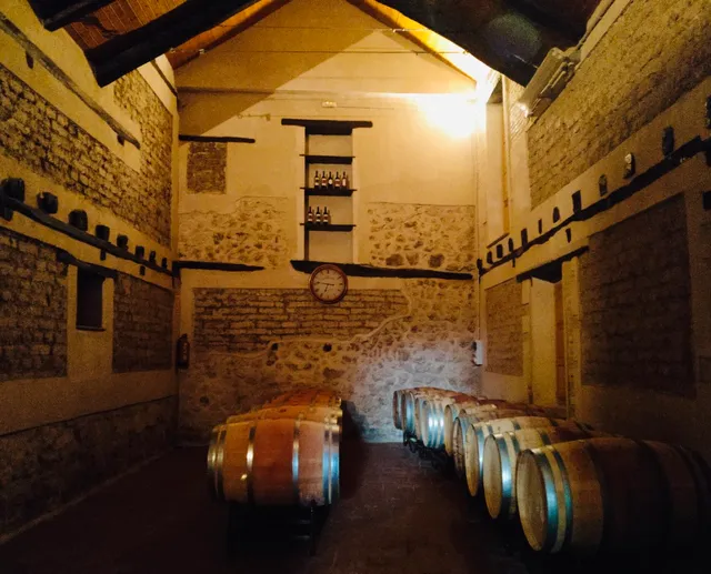 Bodega Viña Valdemazón