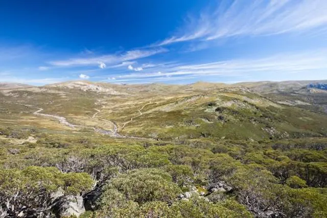 Charlotte Pass lookout