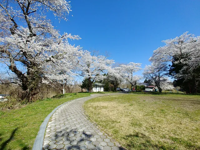 Tateyama Park